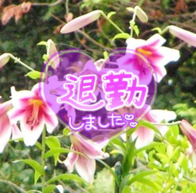 みゆの写メ