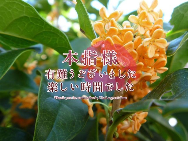 さとみの写メ