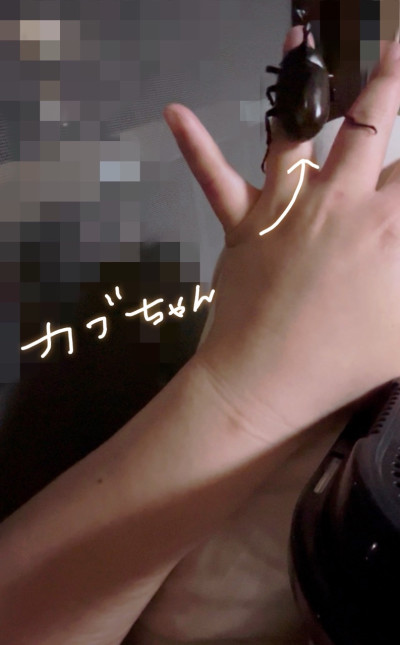 ねねの写メ