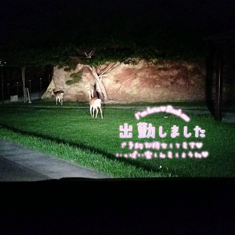 さとみの写メ
