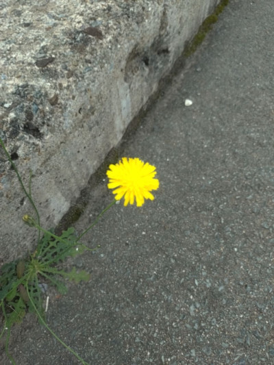 ことねの写メ